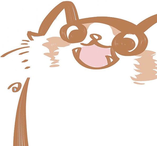 猫咪头