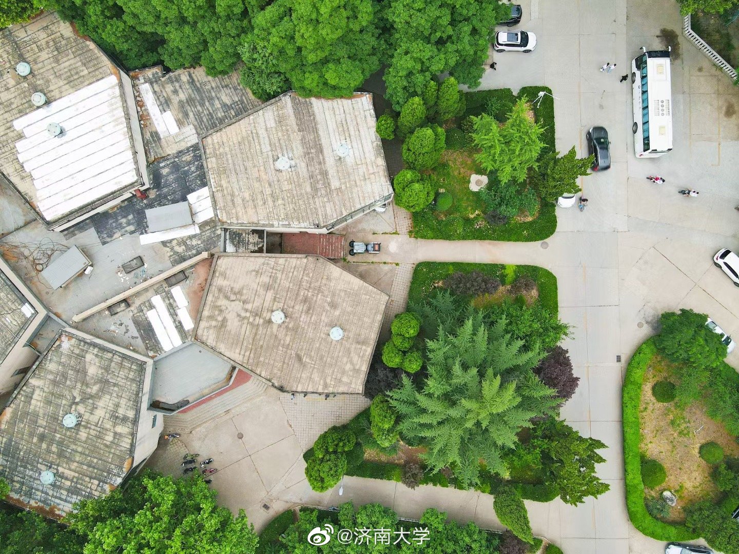 梅花馆