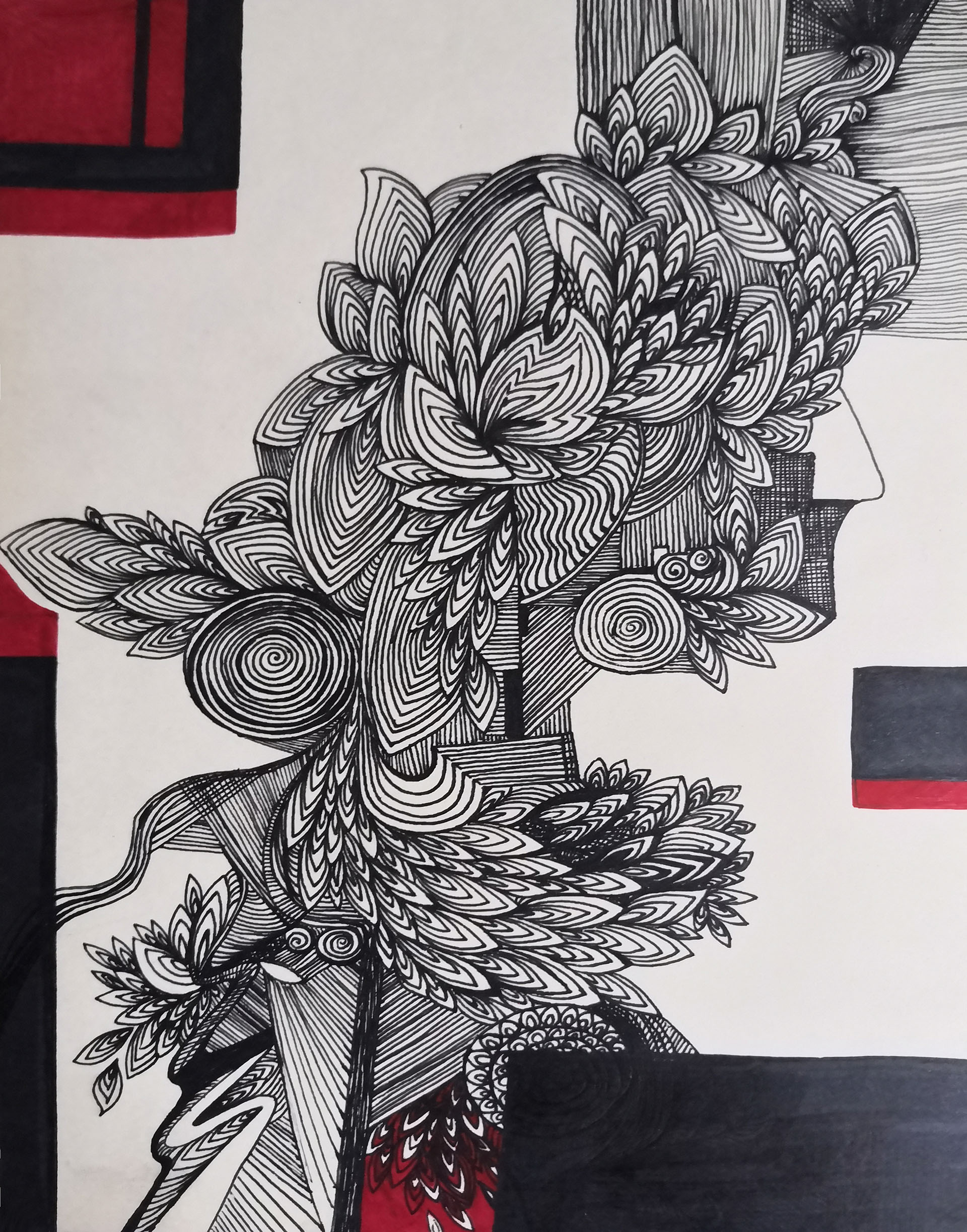 一张图片