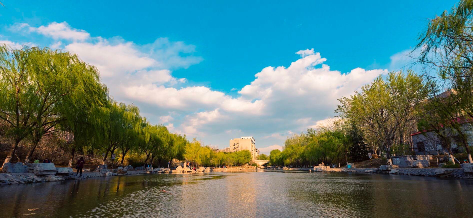 风景