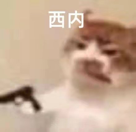 橘猫