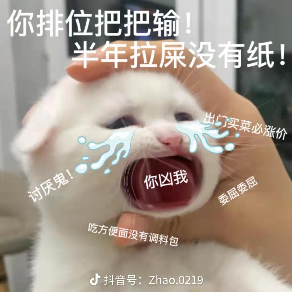 骂人猫