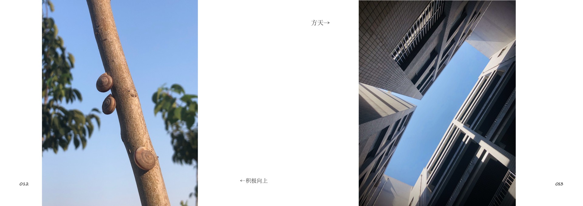 highlight work 03