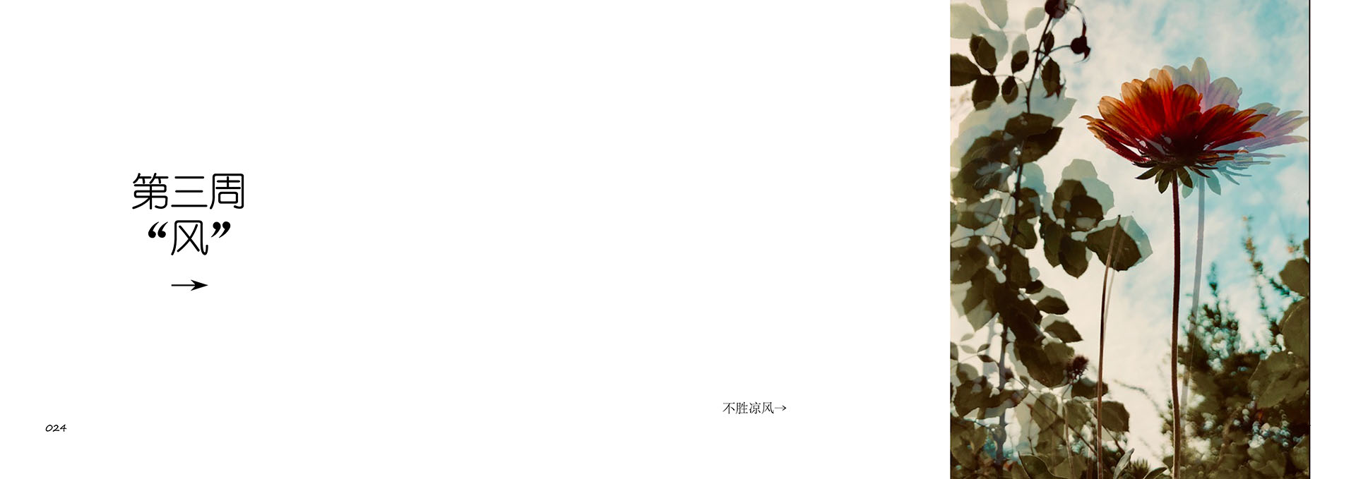 highlight work 03